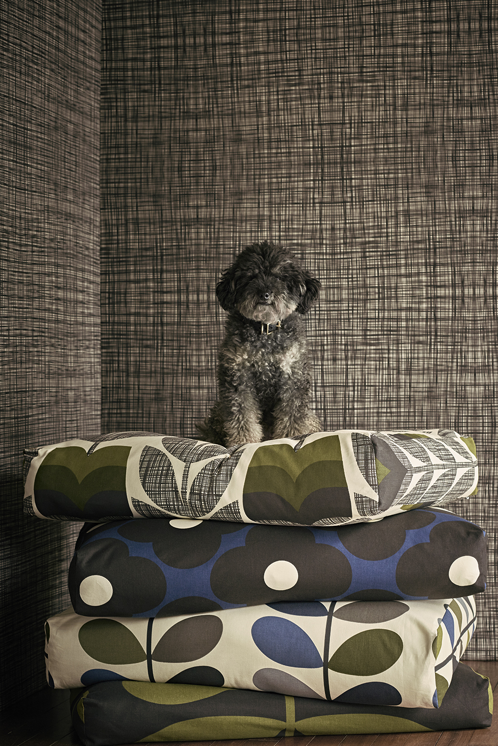 photo of dog sat on top of Orla Kiely printed fabric 