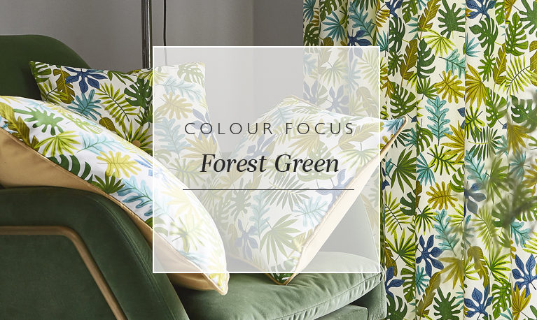 Colour focus: forest green