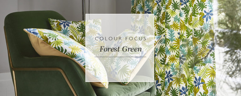 Colour focus: forest green thumbnail