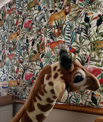 photo to show the wallpaper used for interior of kids room 