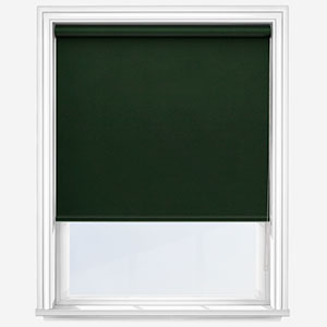 product image of plain green roller blind