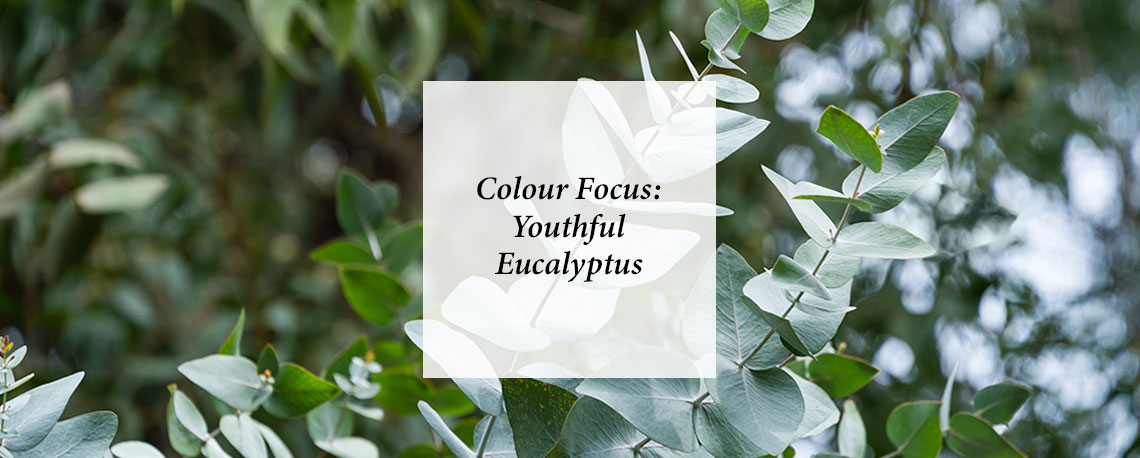 Colour Focus: Youthful Eucalyptus