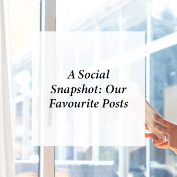 A Social Snapshot: Our Favourite Posts thumbnail