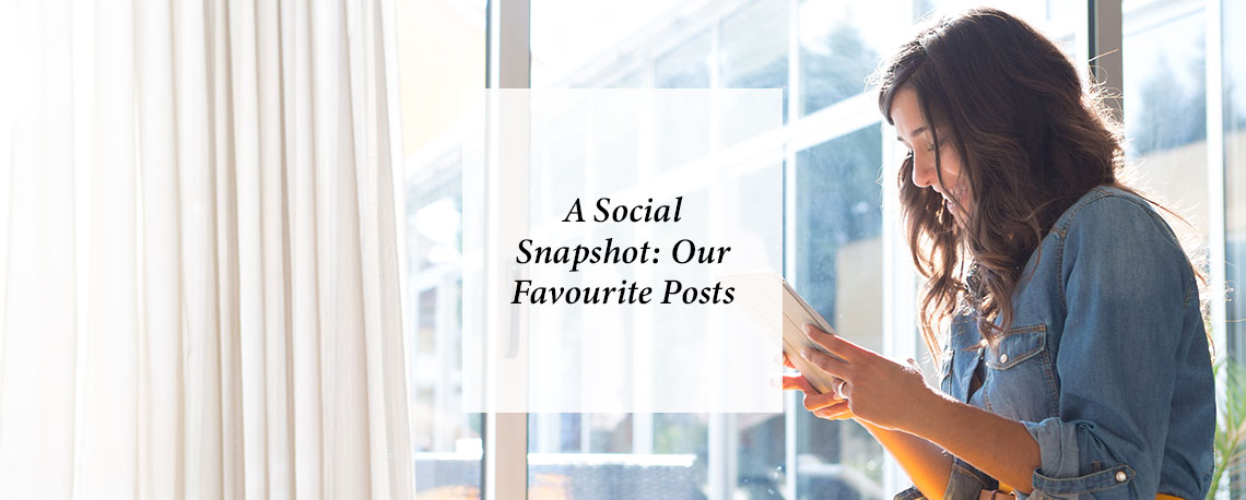 A Social Snapshot: Our Favourite Posts