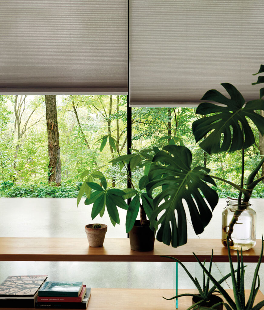 image to show how heat reducing blinds work