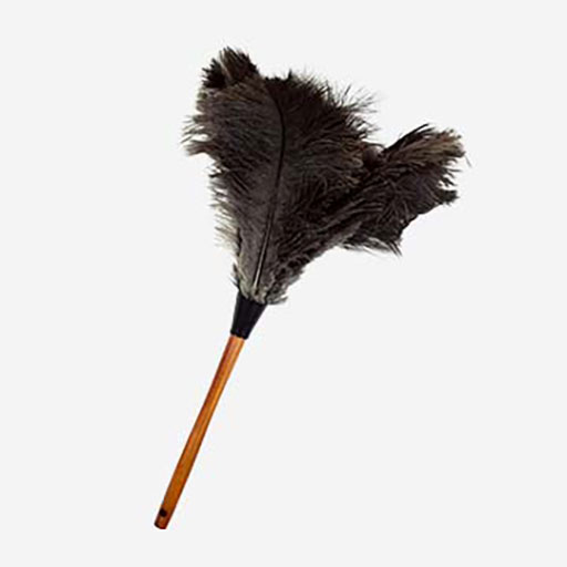 product photo of ostrich feather duster to show some unique accessories for home