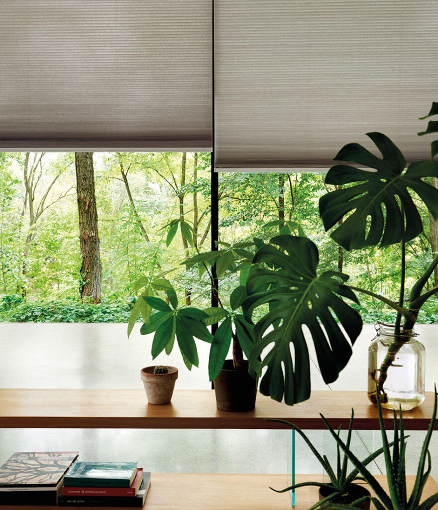 image to give example of how to cool your house down in a hot summer 