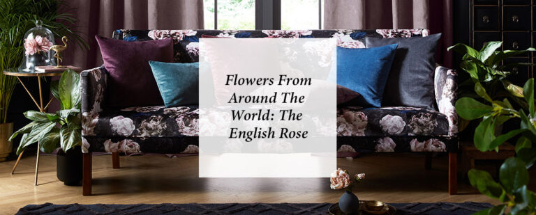Flowers From Around The World: The English Rose thumbnail