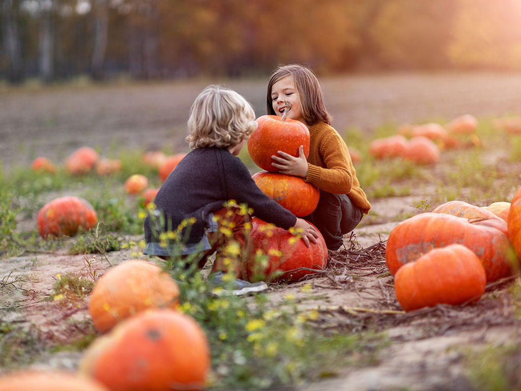 image of two children at a halloween pumpkin patch 