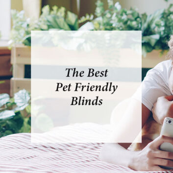 The Best Pet Friendly Blinds thumbnail