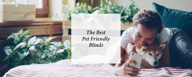 The Best Pet Friendly Blinds thumbnail
