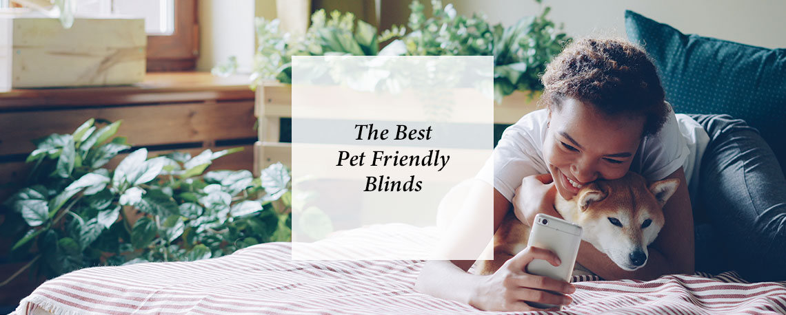 The Best Pet Friendly Blinds