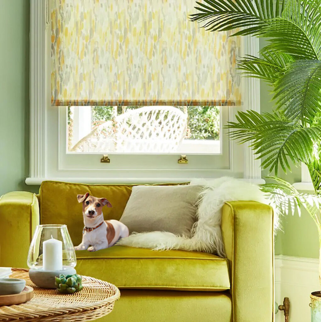 image of a dog on sofa underneath a window with pet friendly blinds fitted 