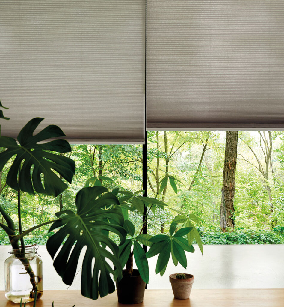 image to show blinds you may want to choose over curtains 