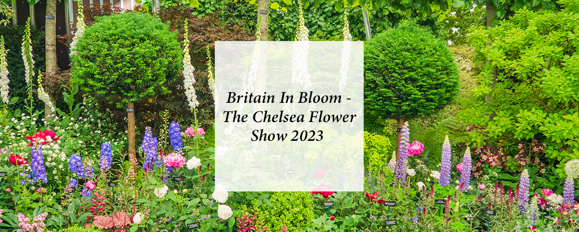 Britain In Bloom – The Chelsea Flower Show 2023