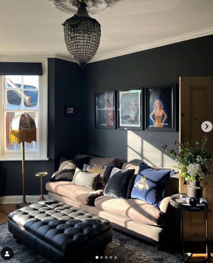 image of dark themed living room