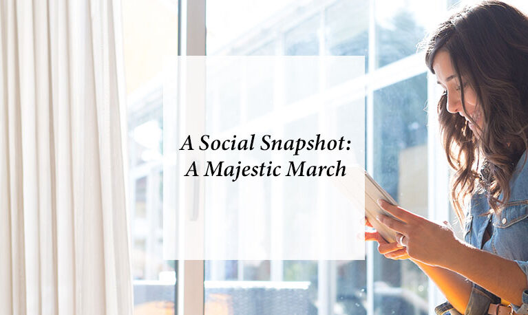 A Social Snapshot: Majestic March! 