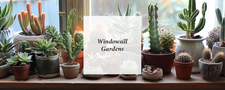 Windowsill Gardens And National Garden Week thumbnail