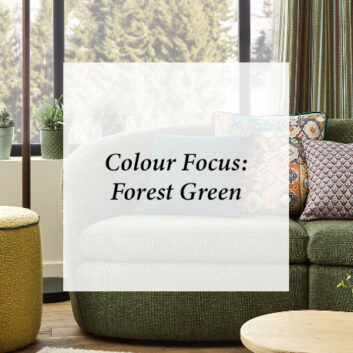 Colour Focus: Forest Green  thumbnail