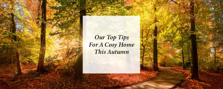 Top Tips For A Cosy Home This Autumn thumbnail