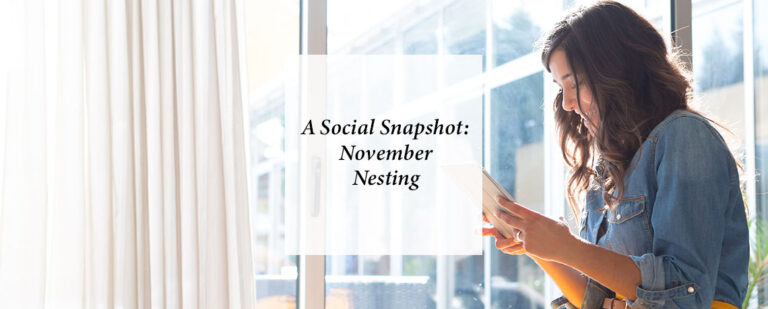 Social Snapshot: November Nesting thumbnail