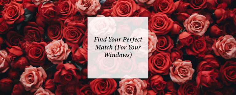 Love is Blind: Find Your Perfect Match (For Your Windows) thumbnail